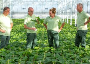 Assistent Teeltmedewerker Vegetables bij Beekenkamp Plants.