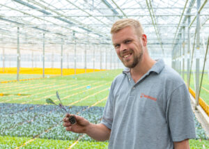 Trainee Teelt & Onderzoek