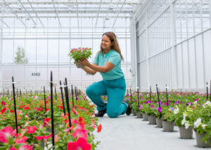 Medewerker Teeltcoördinator