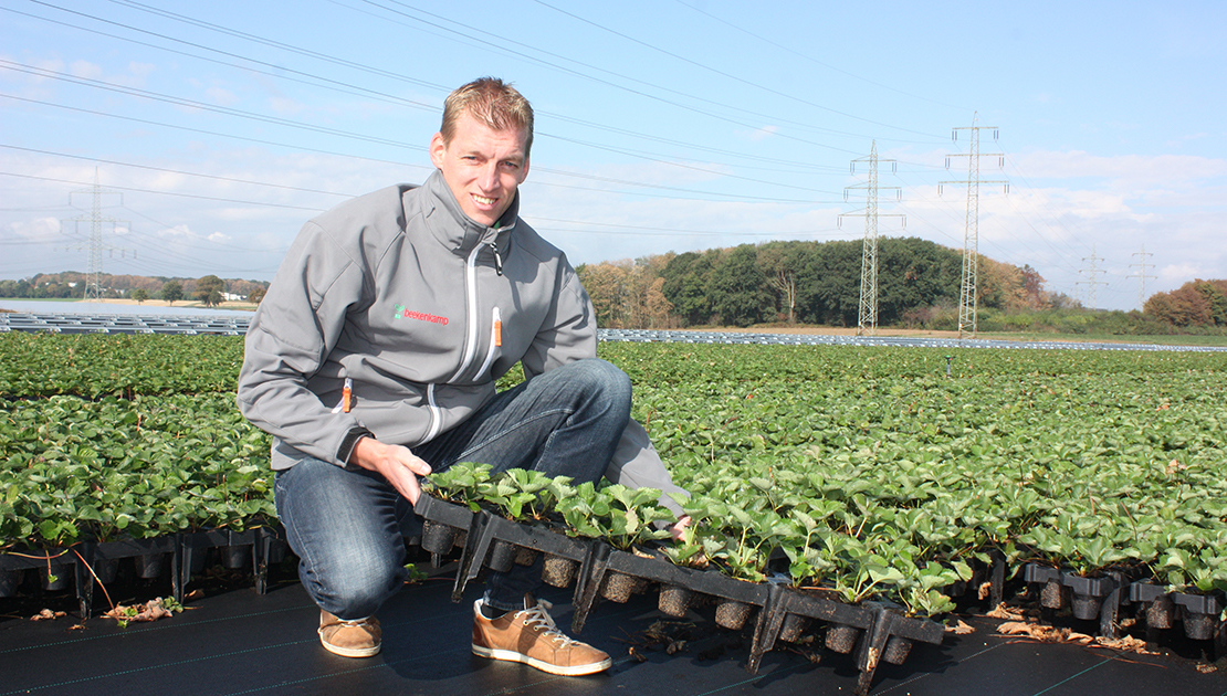 joost-van-ruijven-aardbeienbak