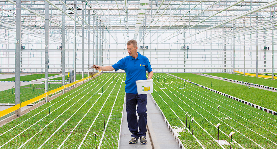 een teeltmedeweker bij Beekenkamp Plants